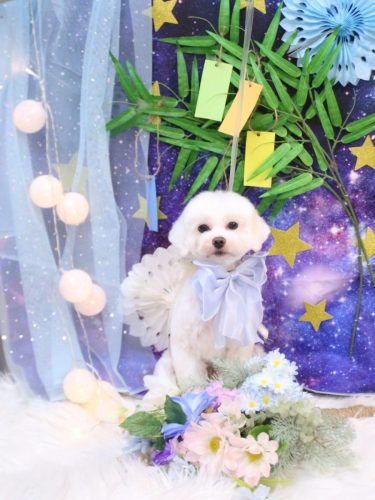 20250715ミルクくん